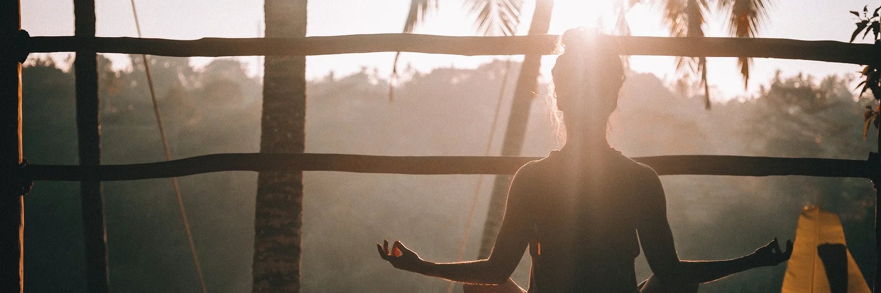 Silhouette of a person meditating at sunrise among palm trees