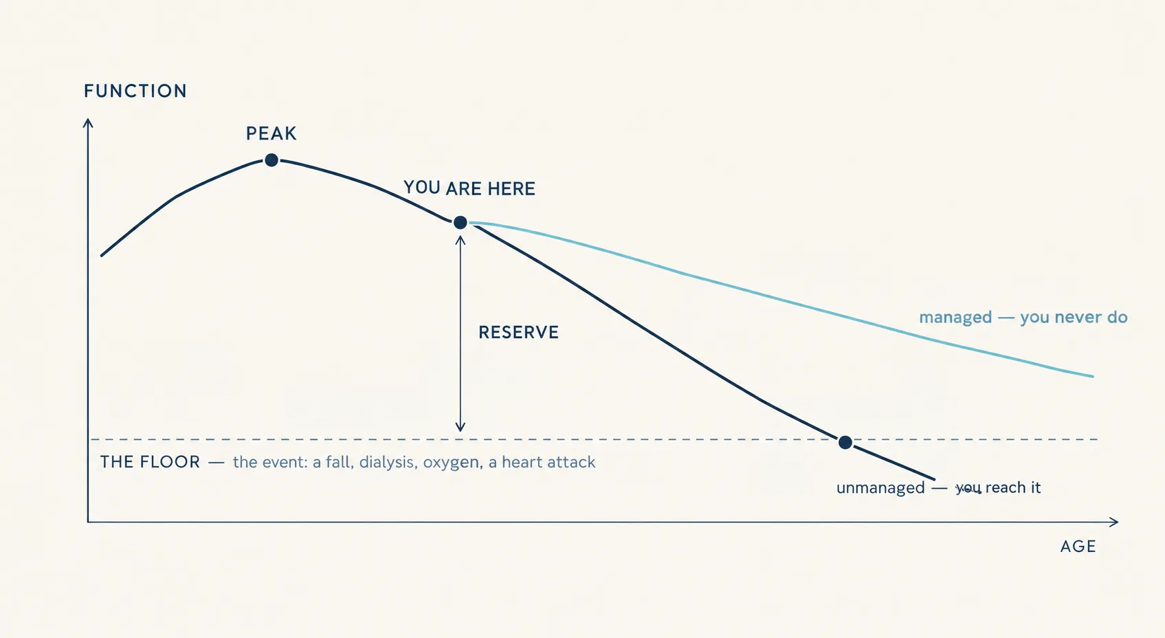 Chart showing how organ function peaks then declines with age, with managed vs unmanaged trajectories