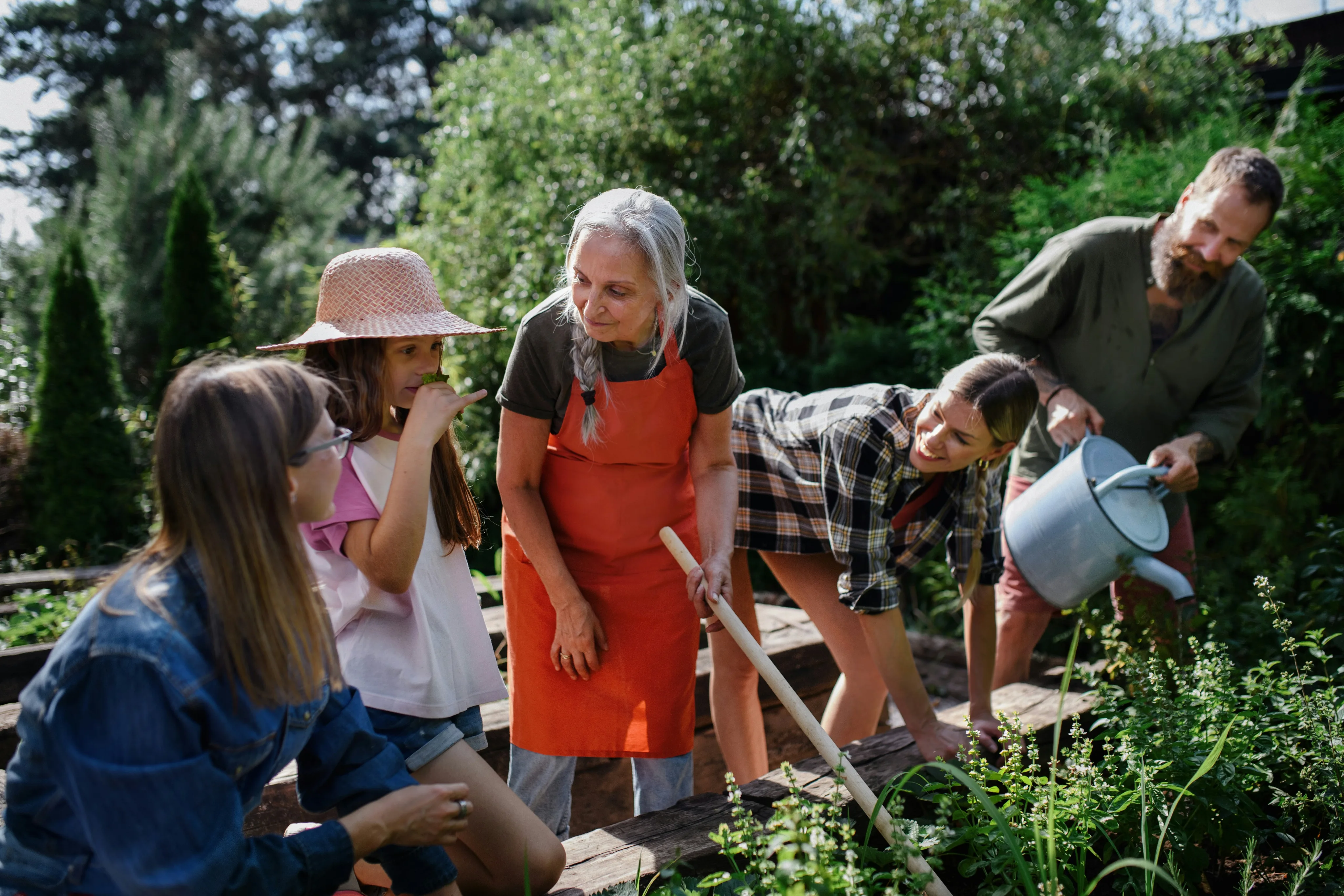 Group of people gardening together, planting in raised garden beds